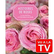 Histoires de roses_p